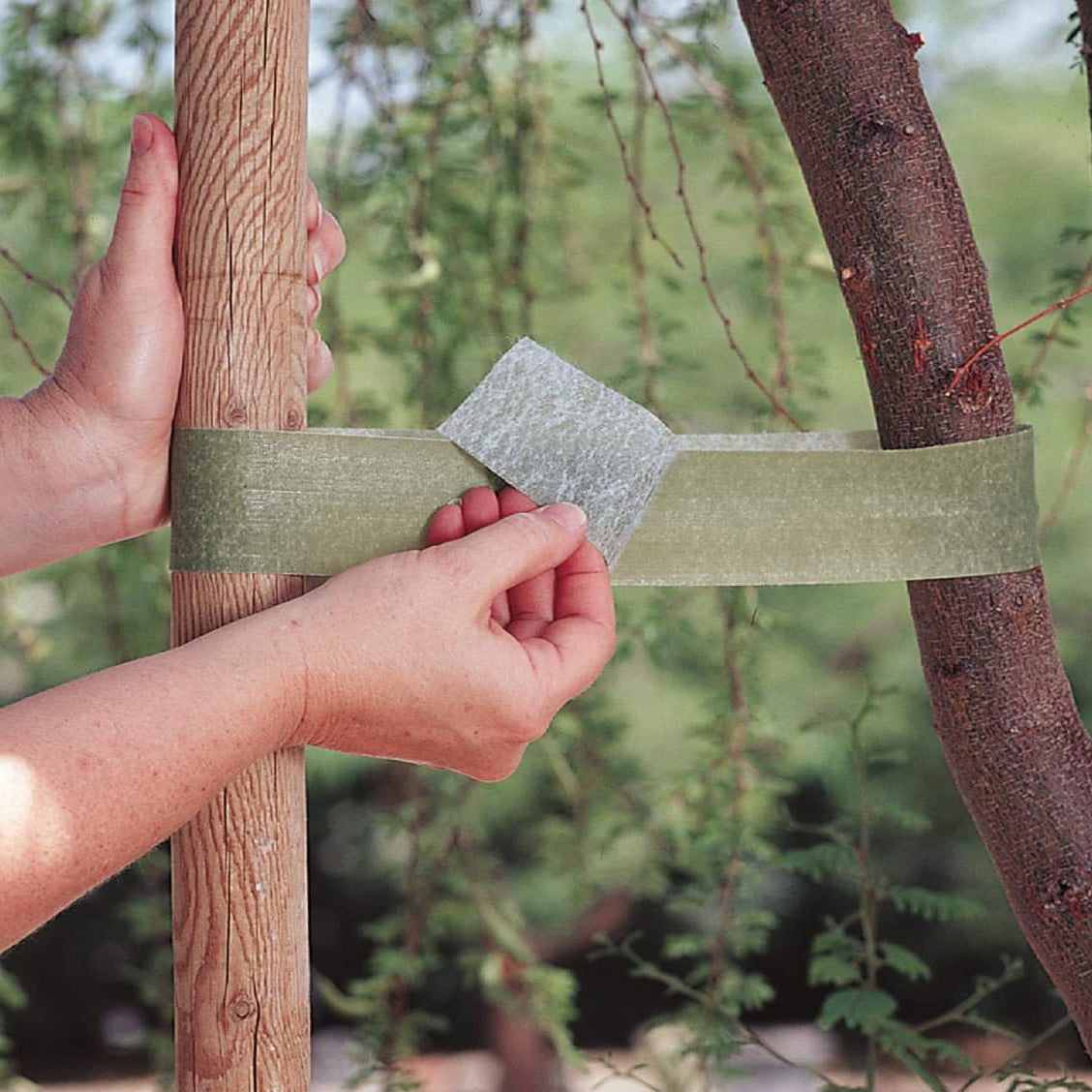 50mm x 5m VELCRO® Brand Tree Ties