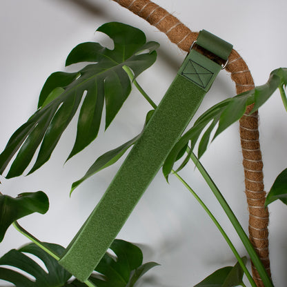 Heavy Duty Tree Training Hook and Loop Cinch Strap with Steel Buckle